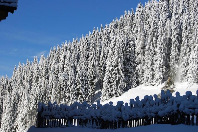 Appartamenti Chalet Orchidea Canazei Exterior photo